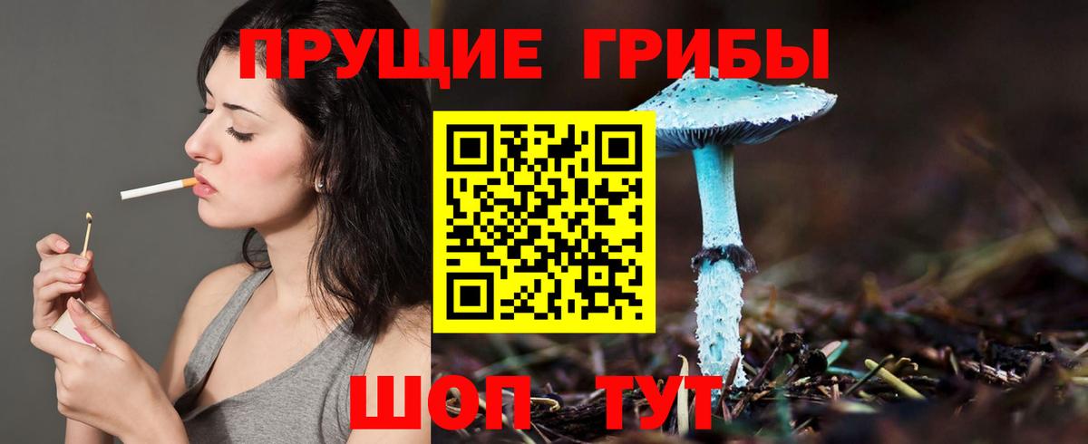 Галлюциногенные грибы мицелий Назарово